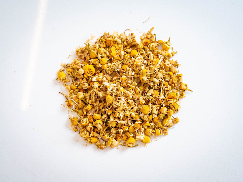 organic egyptian chamomile